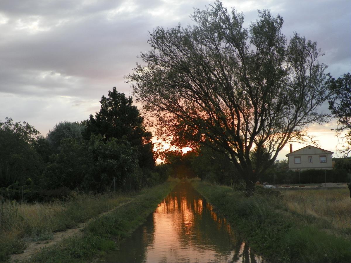 El Rincon De Los Abuelos Tudela de Duero Ngoại thất bức ảnh